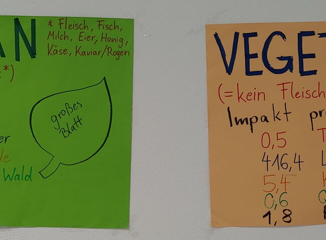 Plakate zum Thema Vegan und Vegetarisch im Vergleich