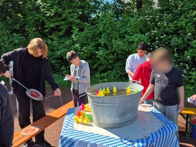 Maifest
